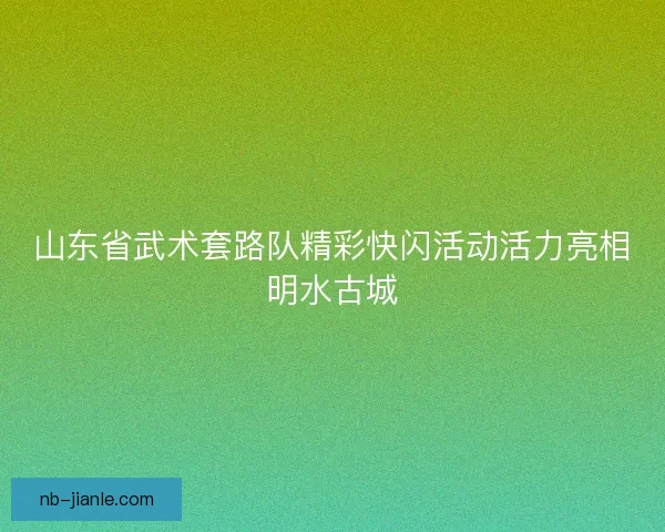 山东省武术套路队精彩快闪活动活力亮相明水古城